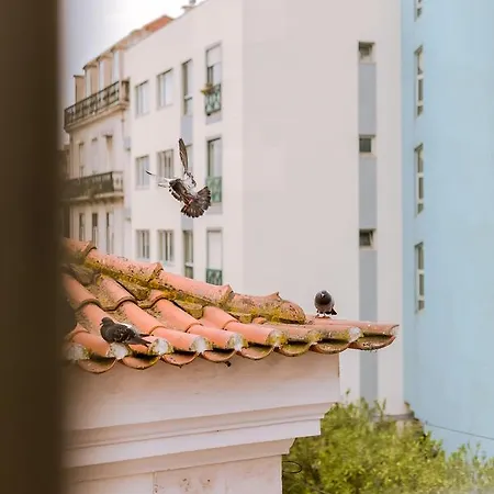 Sao Bento By Inside Out Appartement *